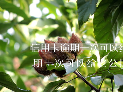 信用卡逾期一次可以给老公担保吗(信用卡逾期一次可以给老公担保吗)