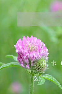 信用卡逾期一次后怎么辦(信用卡逾期一次怎么辦?)