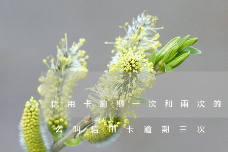 信用卡逾期一次和兩次的區(qū)別-什么叫信用卡逾期三次