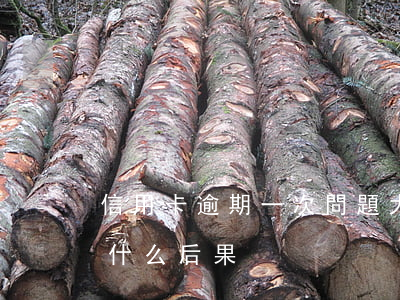 信用卡逾期一次問題大嗎(信用卡逾期一次有什么后果)
