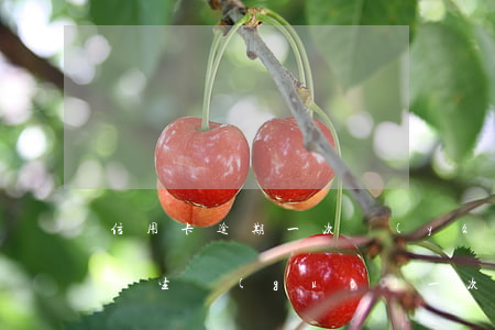 信用卡逾期一次嚴(yán)重么(發(fā)生過(guò)一次信用卡逾期,能貸款嗎)