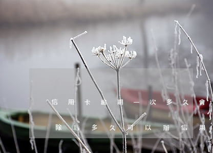 信用卡逾期一次多久會(huì)消(逾期消除后多久可以辦信用卡)