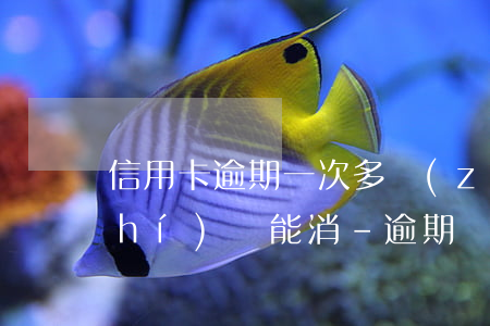 信用卡逾期一次多長(zhǎng)時(shí)間能消-逾期處理之后多久可以申請(qǐng)信用卡?