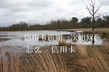 信用卡逾期一次如何恢復征信(征信嚴重逾期怎么辦信用卡)