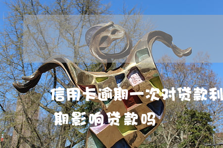 信用卡逾期一次对贷款利率(有一次信用卡逾期影响贷款吗)