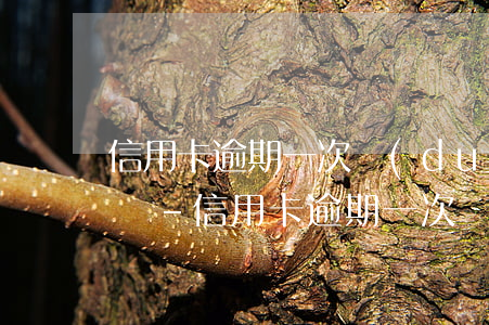 信用卡逾期一次對(duì)征信有什么影響-信用卡逾期一次對(duì)征信有什么影響嗎