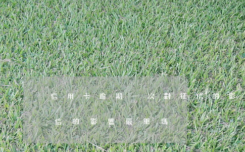 信用卡逾期一次對征信的影響(一次逾期對征信的影響嚴重嗎)