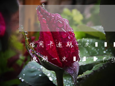 信用卡逾期一次對職業(yè)考試(信用卡逾期一次對職業(yè)考試)