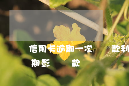 信用卡逾期一次對貸款利率(有一次信用卡逾期影響貸款嗎)