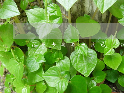 信用卡逾期一次已還款(信用卡 逾期 一次)