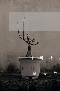 信用卡逾期一次影响房贷吗(有几次信用卡逾期会影响贷款买房么)