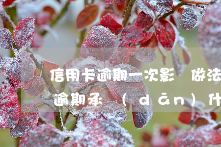 信用卡逾期一次影響做法人嗎(用別人信用卡逾期承擔(dān)什么法律后果)