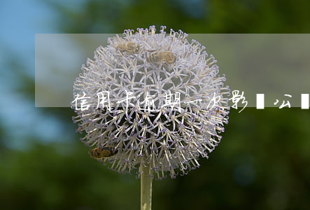 信用卡逾期一次影響公積金貸嗎