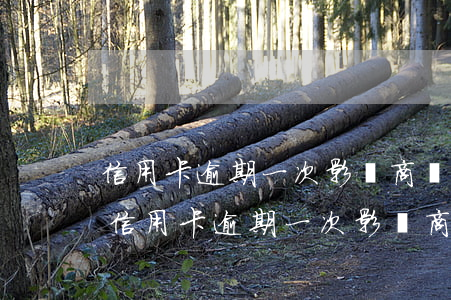 信用卡逾期一次影響商業(yè)貸款么-信用卡逾期一次影響商業(yè)貸款么