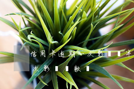 信用卡逾期一次影響嗎(半年前信用卡逾期一次影響貸款嗎)