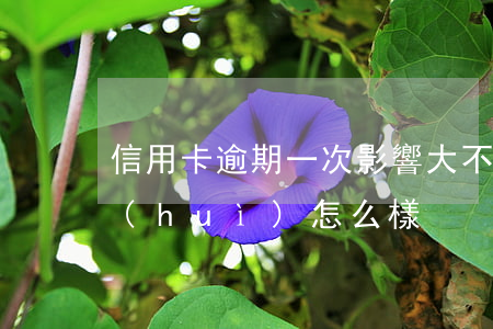 信用卡逾期一次影響大不(信用卡逾期一次會(huì)怎么樣)