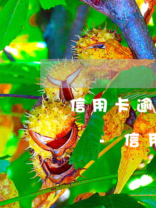 信用卡逾期一次影響征信多長時(shí)間-信用卡逾期一次影響征信多長時(shí)間消除
