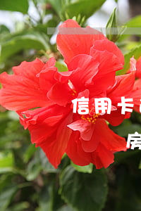 信用卡逾期一次影響買房(信用卡逾期一次影響買房代款嗎)