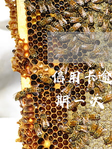 信用卡逾期一次影響銀行貸款嗎(銀行貸款逾期一次對(duì)信用有影響嗎)