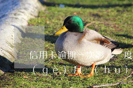 信用卡逾期一次影響額度嗎(信用卡逾期兩個(gè)月會(huì)有什么后果)