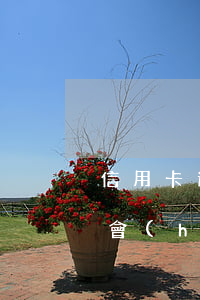 信用卡逾期一次 征信-信用卡逾期一次征信會(huì)黑嗎