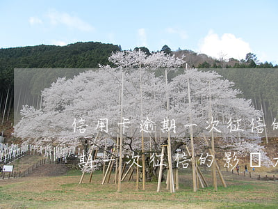 信用卡逾期一次征信的影響大嗎-信用卡逾期一次征信的影響大嗎知乎