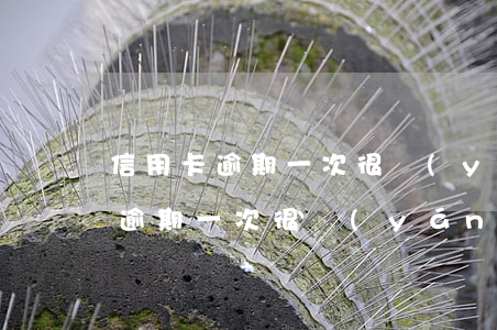 信用卡逾期一次很嚴(yán)重嗎(信用卡逾期一次很嚴(yán)重嗎)