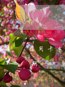 信用卡逾期一次微粒貸多久能用-信用卡逾期一次微粒貸多久能用