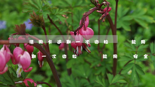 信用卡逾期一次微粒貸還能用嗎-信用卡逾期一次微粒貸還能用嗎安全嗎
