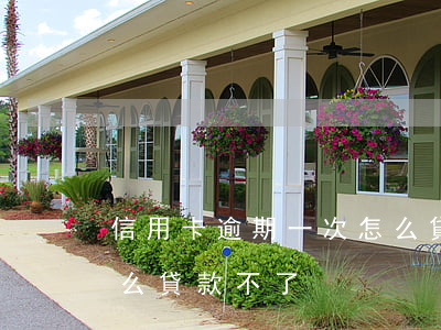 信用卡逾期一次怎么貸款(信用卡逾期一次怎么貸款不了)