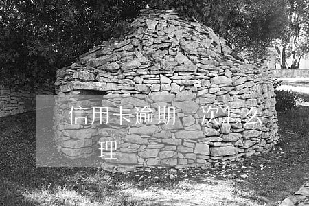 信用卡逾期一次怎么辦車貸(逾期一次車貸好辦理嗎?)