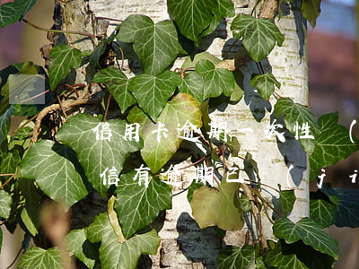 信用卡逾期一次性結(jié)清怎么辦(征信有逾期已結(jié)清可以辦信用卡嗎)
