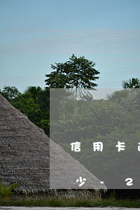 信用卡逾期一次性結(jié)清能減免多少-2017年信用卡逾期多久會清除