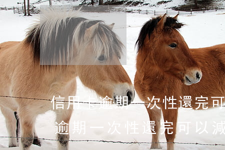 信用卡逾期一次性還完可以減息嗎-信用卡逾期一次性還完可以減息嗎知乎