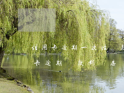 信用卡逾期一次性還款利息太高 有一次信用卡逾期還款影響房貸嗎