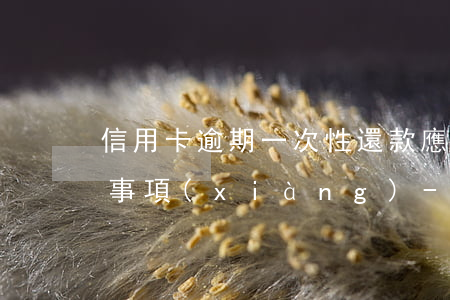 信用卡逾期一次性還款應(yīng)注意事項(xiàng)-信用卡逾期一次性還款應(yīng)注意事項(xiàng)有哪些