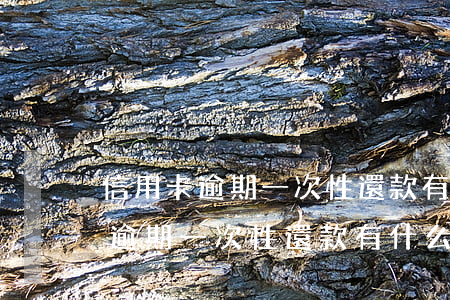 信用卡逾期一次性還款有什么后果-信用卡逾期一次性還款有什么后果嗎