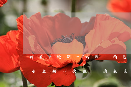 信用卡逾期一次性還清免息是真的嗎-信用卡逾期一次性還清免息是真的嗎嗎