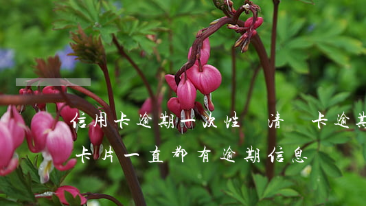 信用卡逾期一次性還清銷卡(逾期后還清注銷卡片一直都有逾期信息嗎?)
