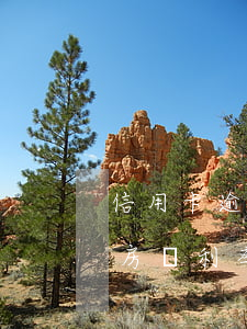 信用卡逾期一次房貸利率影響-逾期會影響房貸利率嗎