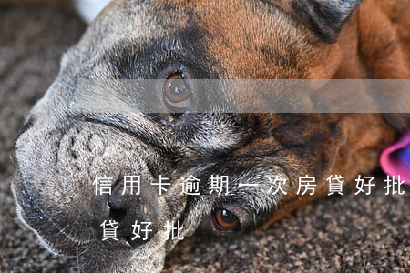 信用卡逾期一次房貸好批(信用卡逾期一次房貸好批)