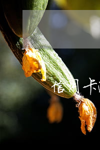 信用卡逾期一次房貸被拒 信用卡 逾期 房貸