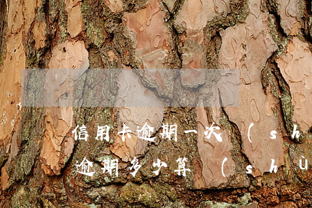 信用卡逾期一次數(shù)額很小(信用卡逾期多少算數(shù)額較大)