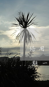 信用卡逾期一次是不良信用記錄-信用卡逾期一次是不良信用記錄嗎