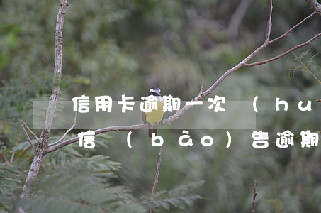 信用卡逾期一次會(huì)影響政審嗎(征信報(bào)告逾期一次影響政審嗎)