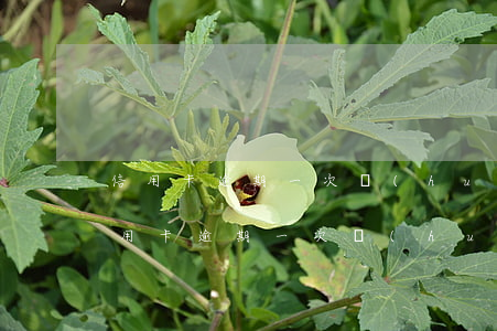 信用卡逾期一次會(huì)有什么影響(信用卡逾期一次會(huì)有什么影響)