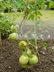 信用卡逾期一次會(huì)有什么影響(銀行卡信用卡逾期有什么后果)