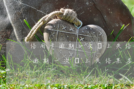 信用卡逾期一次會上失信黑名單嗎-信用卡逾期一次會上失信黑名單嗎知乎