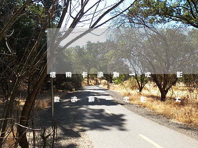信用卡逾期一次會影響商貸(商業(yè)貸款逾期一次影響大嗎)