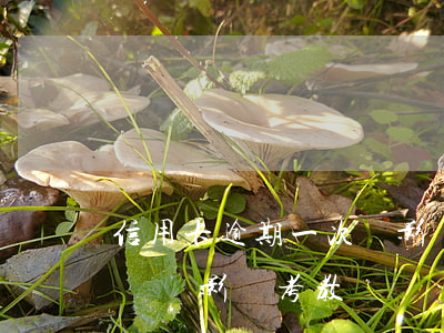 信用卡逾期一次會影響老師編制嗎(有逾期記錄會影響考教師嗎)